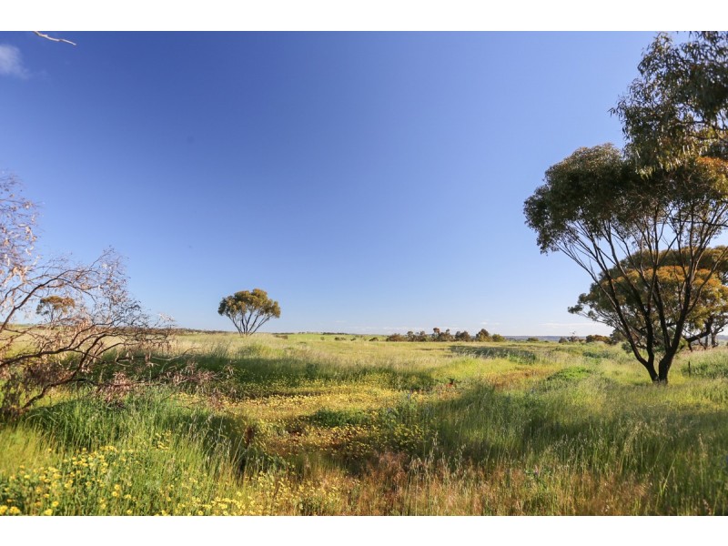 2170 Bindi Bindi Road, Toodyay WA 6566