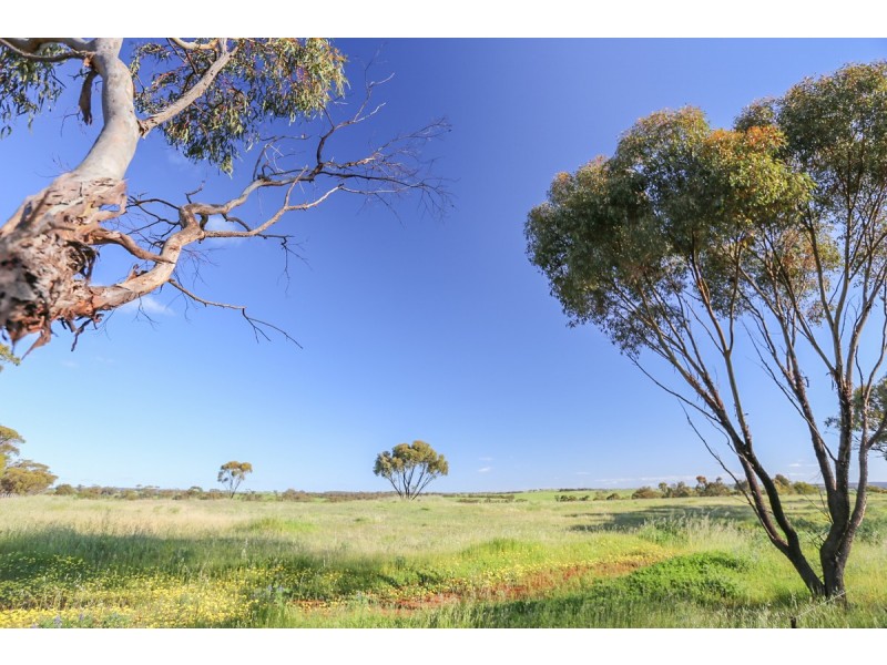 2170 Bindi Bindi Road, Toodyay WA 6566