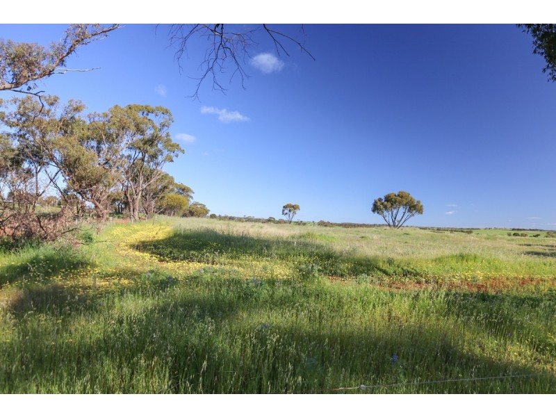 2170 Bindi Bindi Road, Toodyay WA 6566