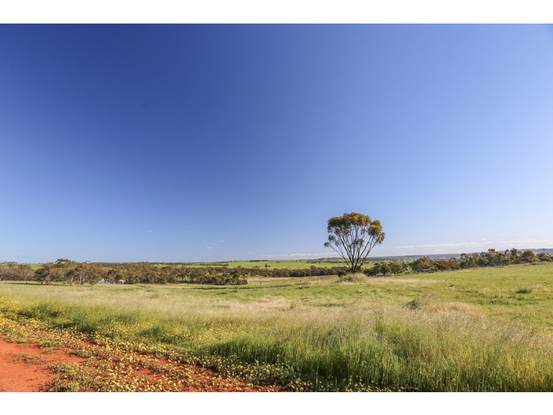 2170 Bindi Bindi Road, Toodyay WA 6566