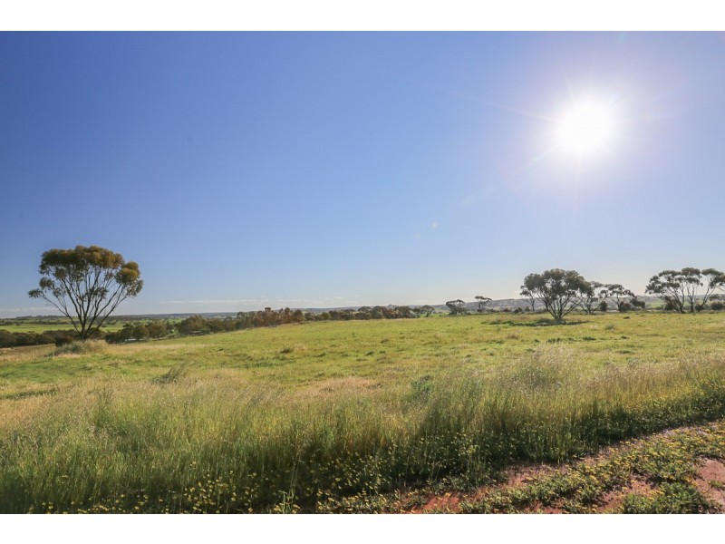 2170 Bindi Bindi Road, Toodyay WA 6566