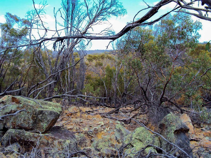 Toodyay WA 6566