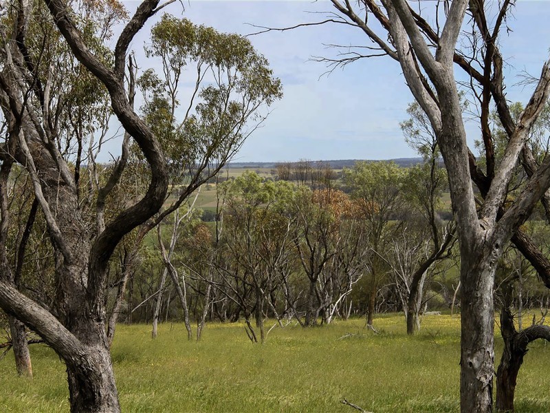 Toodyay WA 6566