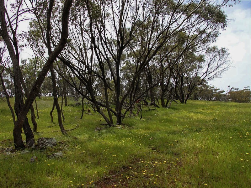 Toodyay WA 6566