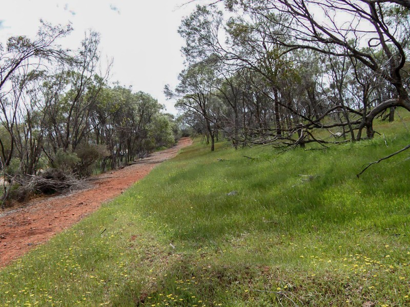 Toodyay WA 6566