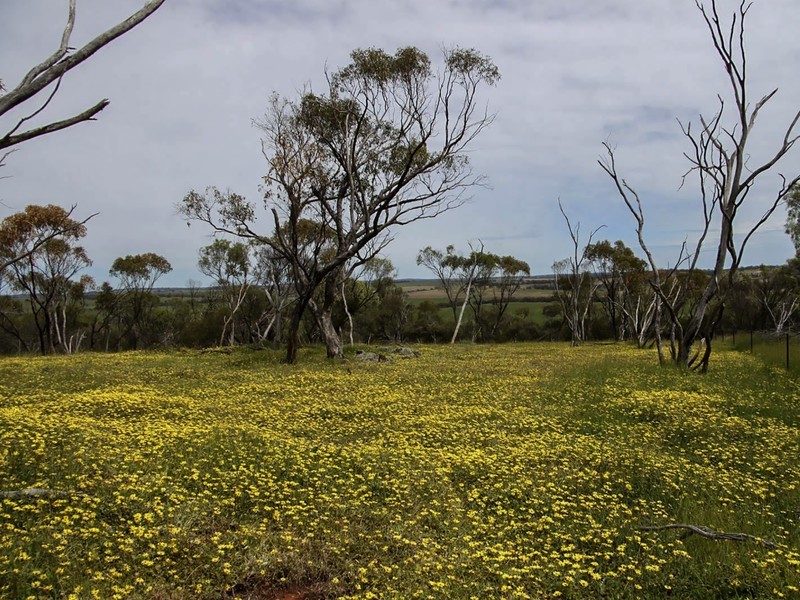 Toodyay WA 6566