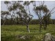 Toodyay WA 6566
