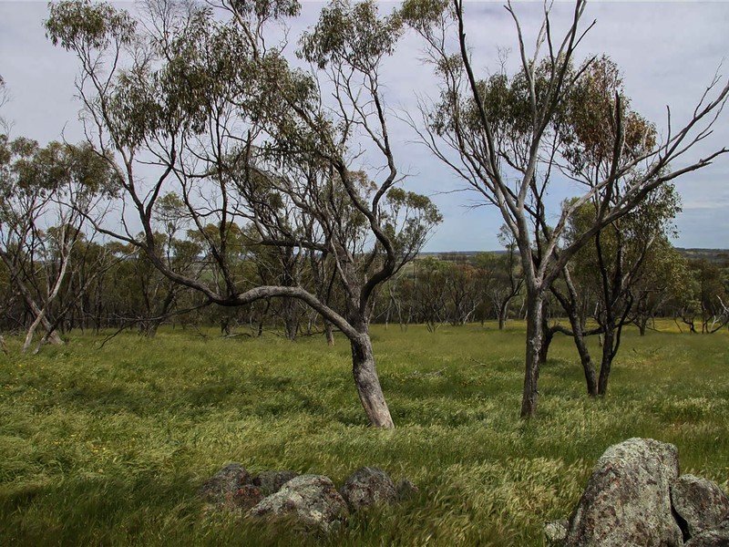 Toodyay WA 6566