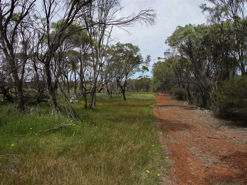 Toodyay WA 6566