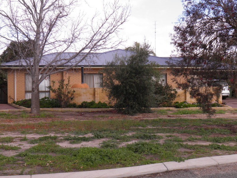 3 Griffiths Street, Dowerin WA 6461