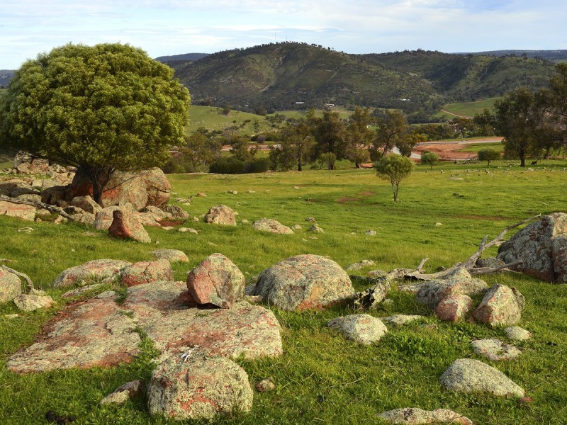 109/Whitelakes Drive Whitfield Road, Toodyay WA 6566
