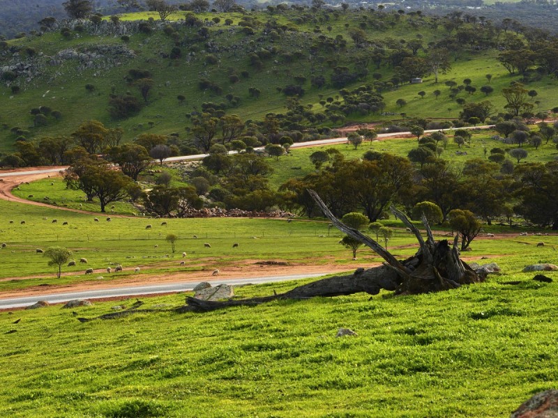 101 – Lot 122 WALKEY HEIGHTS – Whitfield Road, Toodyay WA 6566