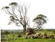 101 – Lot 122 WALKEY HEIGHTS – Whitfield Road, Toodyay WA 6566