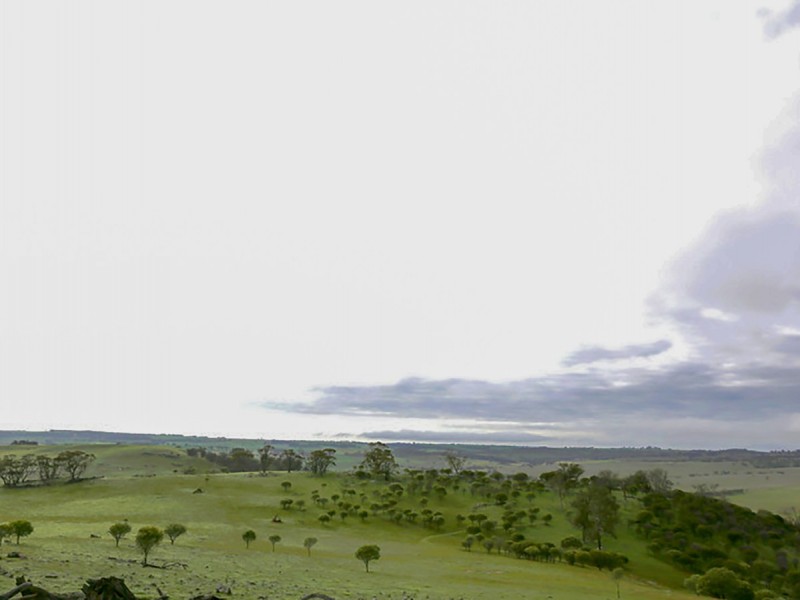 103 Nockdominie Road Whitfield Road, Toodyay WA 6566