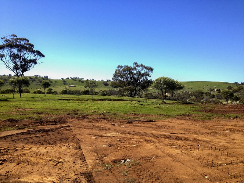 103 Nockdominie Road Whitfield Road, Toodyay WA 6566