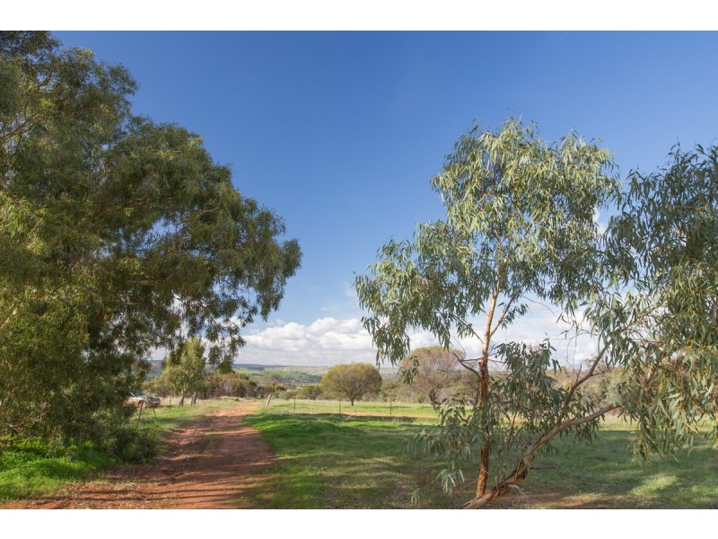 Toodyay WA 6566