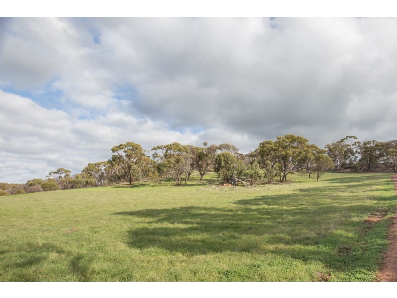 Toodyay WA 6566