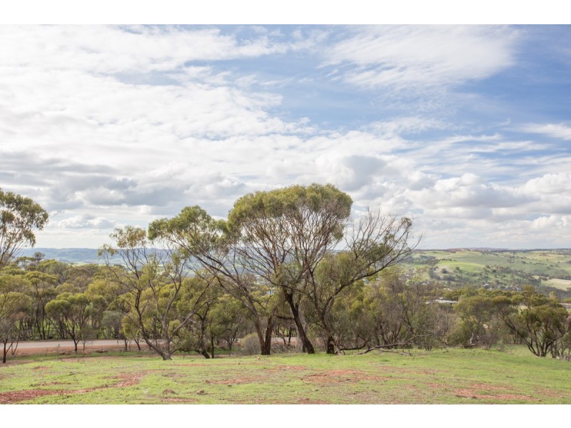 Toodyay WA 6566