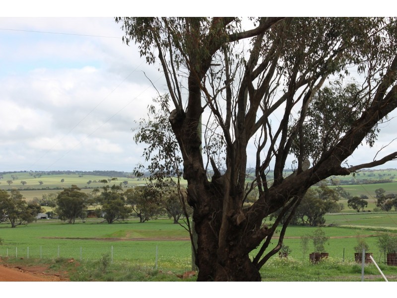 280 Beering Road, Irishtown WA 6401