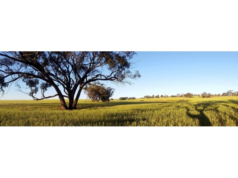 280 Beering Road, Irishtown WA 6401