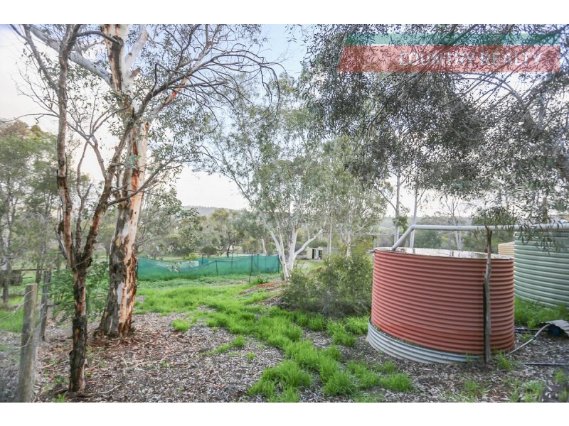 54 Wellington Street, Toodyay WA 6566