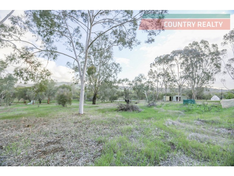 54 Wellington Street, Toodyay WA 6566