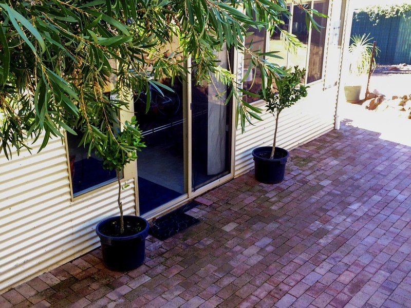 3 Goddard Street, Toodyay WA 6566