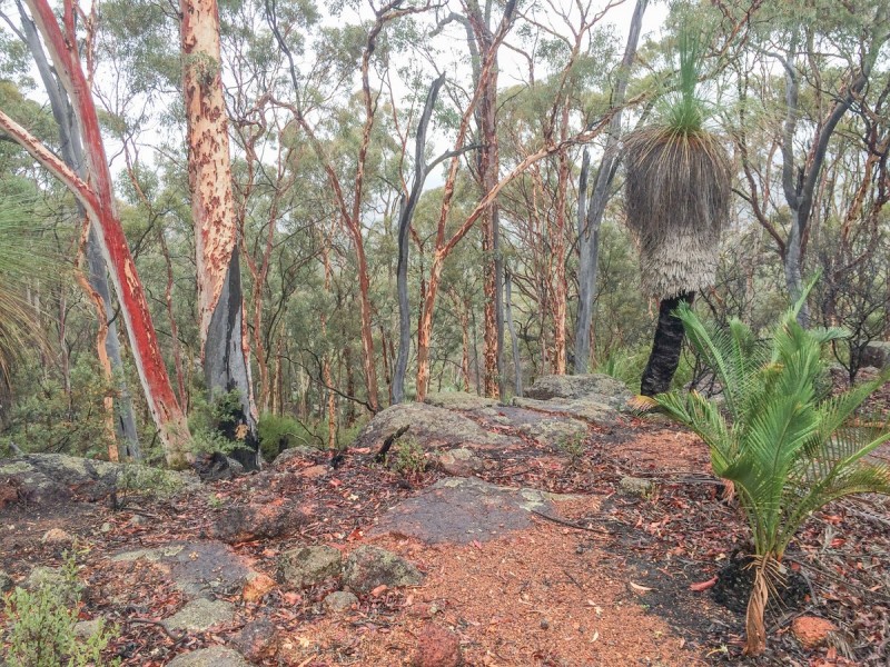 23 White Gum Ridge, Toodyay WA 6566