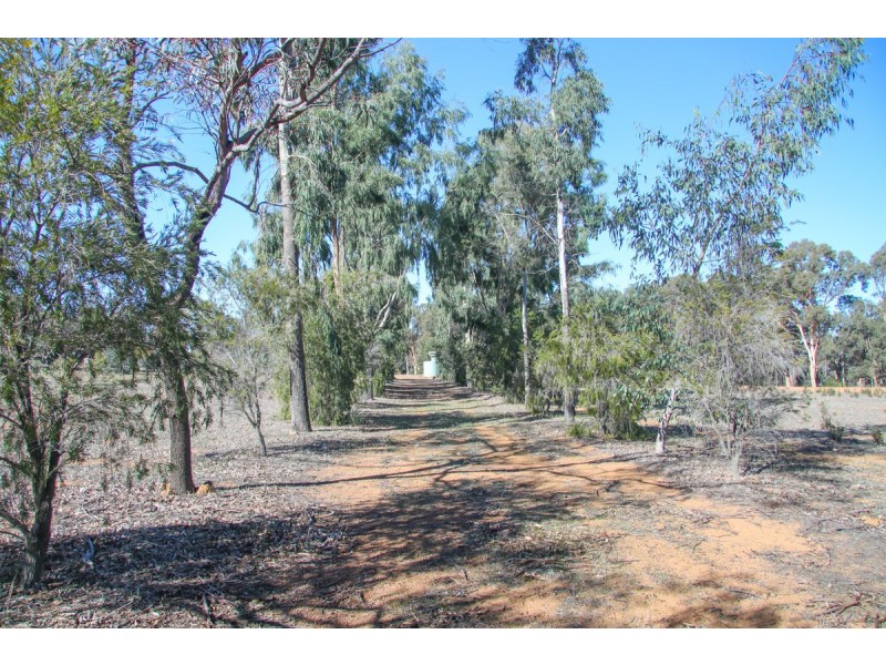 23 White Gum Ridge, Toodyay WA 6566