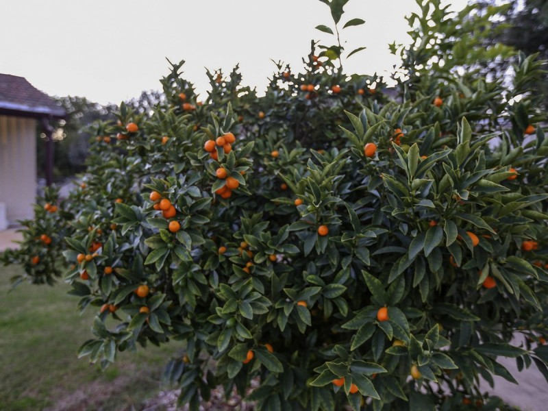 18 Telegraph Road, Toodyay WA 6566