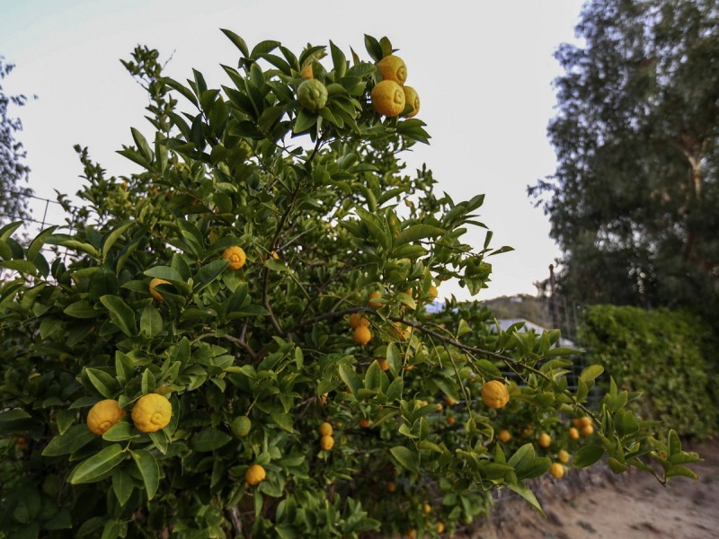 18 Telegraph Road, Toodyay WA 6566