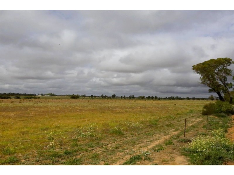 77 Pollard Road, Kalannie WA 6468