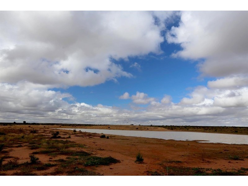 77 Pollard Road, Kalannie WA 6468