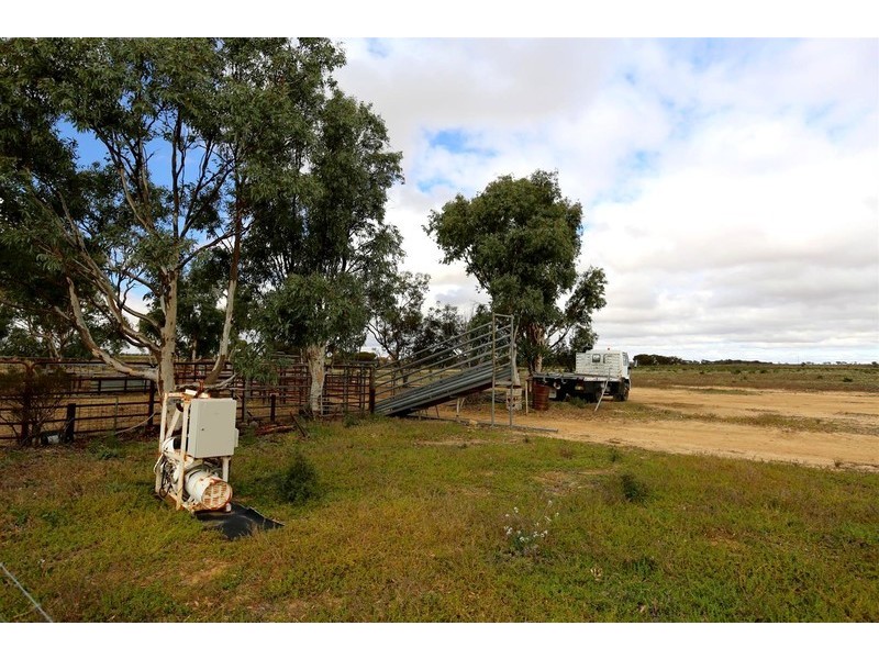 77 Pollard Road, Kalannie WA 6468