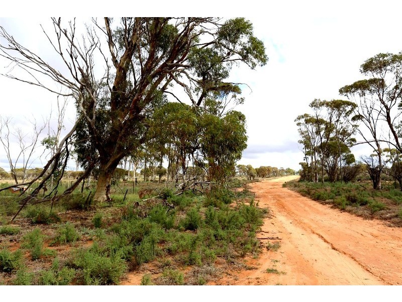 77 Pollard Road, Kalannie WA 6468