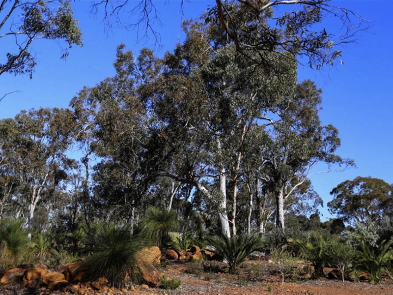 4 Ridley Circle, West Toodyay, Toodyay WA 6566