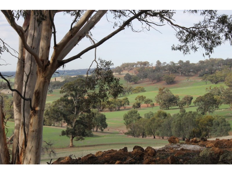 740 Smith Road, Katrine, Clackline WA 6564