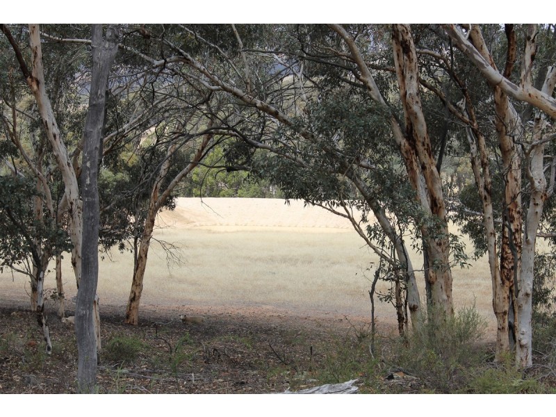 740 Smith Road, Katrine, Clackline WA 6564
