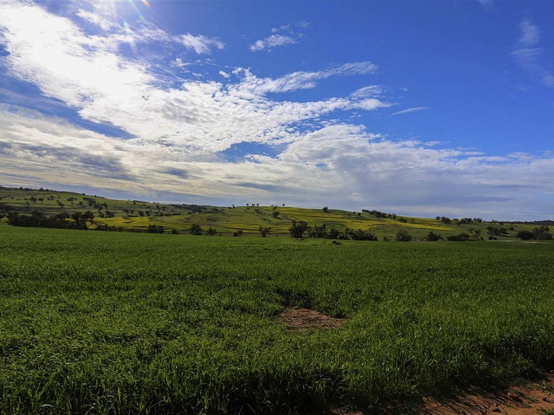 204 Dumbarton Road, Dumbarton, Toodyay WA 6566