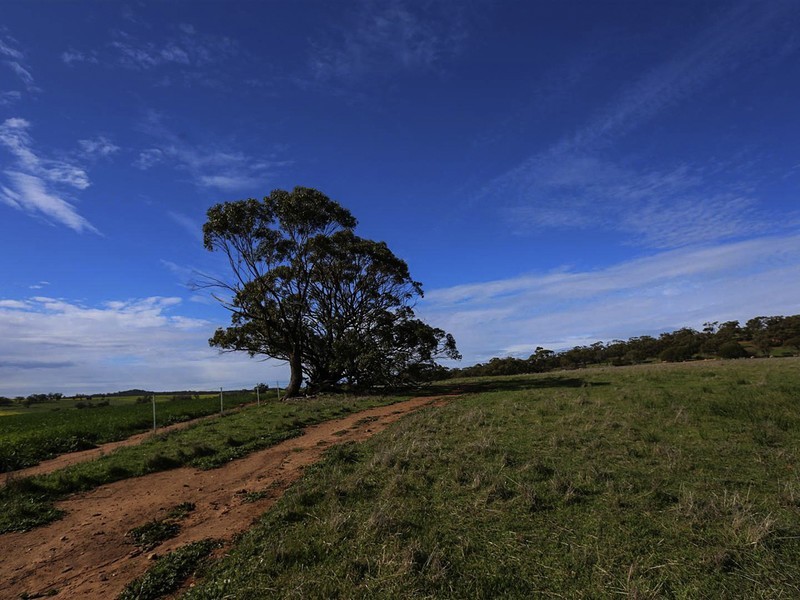 204 Dumbarton Road, Dumbarton, Toodyay WA 6566