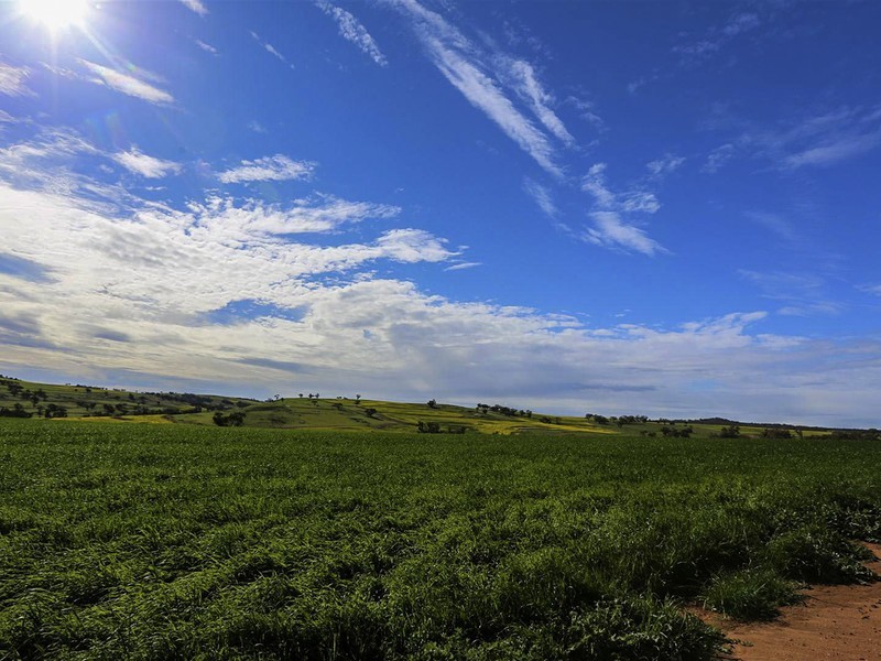 204 Dumbarton Road, Dumbarton, Toodyay WA 6566