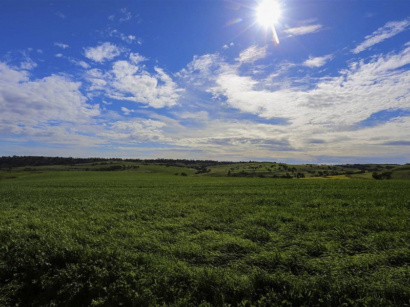 204 Dumbarton Road, Dumbarton, Toodyay WA 6566