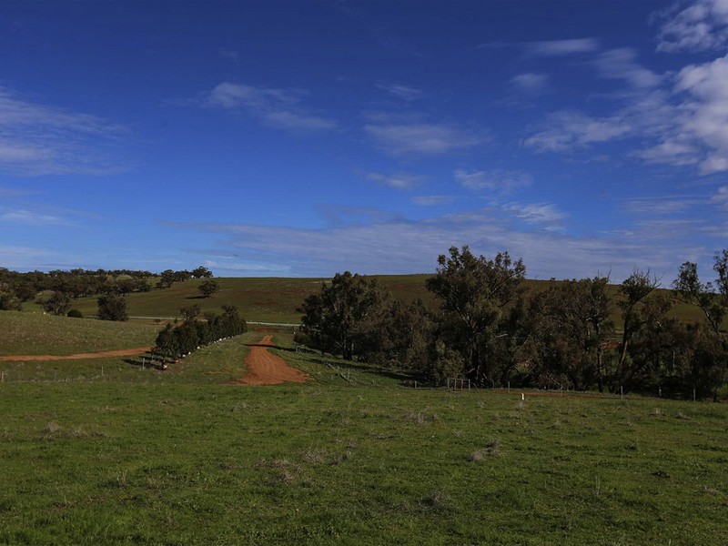 204 Dumbarton Road, Dumbarton, Toodyay WA 6566