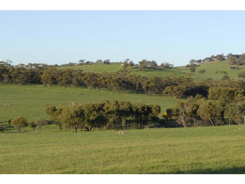 100 to 136 Balgaling Road, Toodyay WA 6566