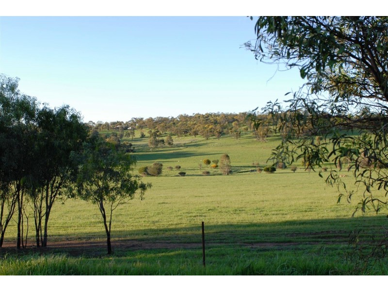 100 to 136 Balgaling Road, Toodyay WA 6566