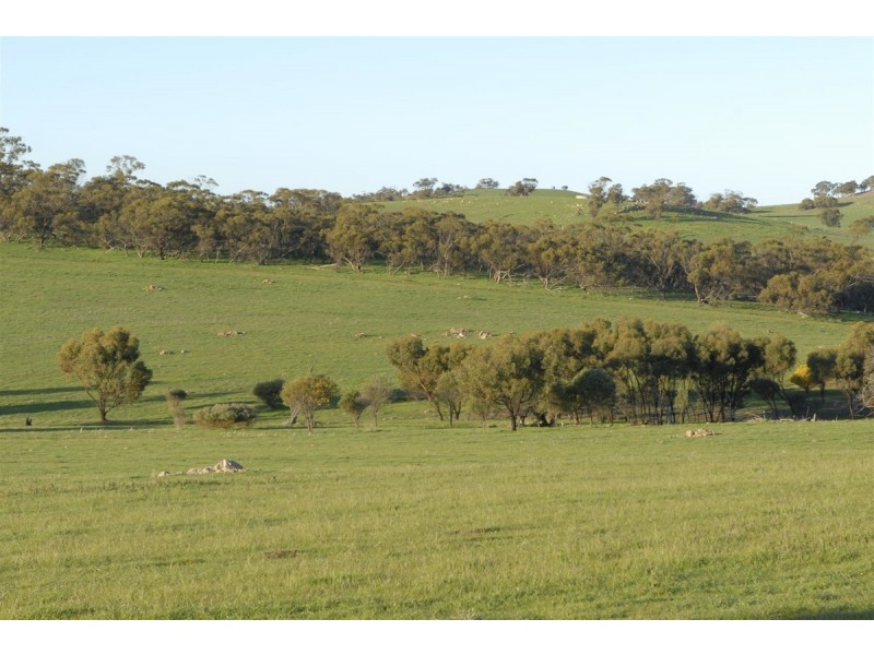 100 to 136 Balgaling Road, Toodyay WA 6566