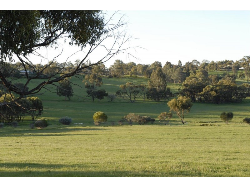 100 to 136 Balgaling Road, Toodyay WA 6566