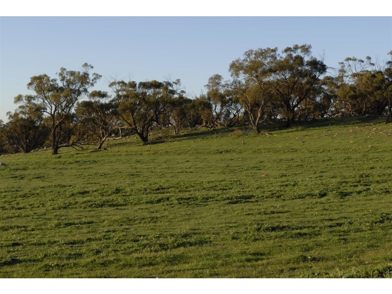 100 to 136 Balgaling Road, Toodyay WA 6566