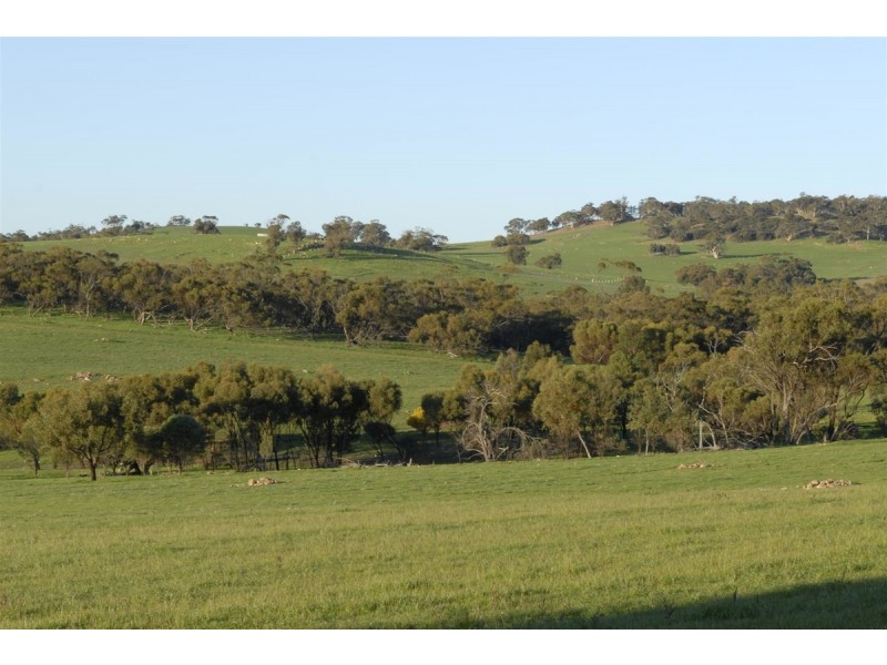 100 to 136 Balgaling Road, Toodyay WA 6566