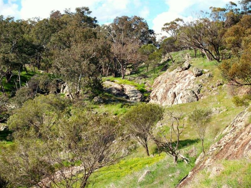 100 to 136 Balgaling Road, Toodyay WA 6566